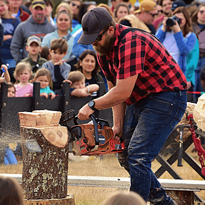 Lumberjack_2024