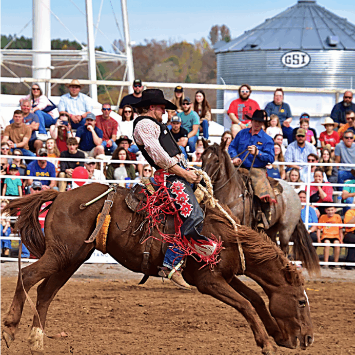 horse_riding_2024